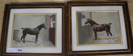 J.Palfry 1901, pair of watercolours, Horse studies; Intake Wonder and Recruit, signed and dated 1901 17 x 23cm.